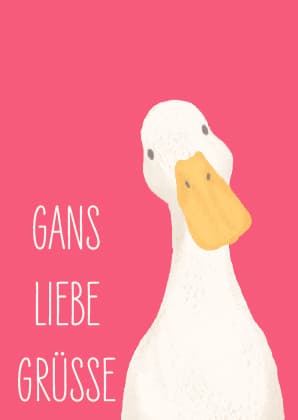 Postkarte - Andrea liesert - Gans