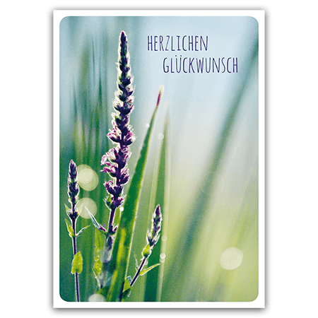 Postkarte - Herzlichen Glückwunsch