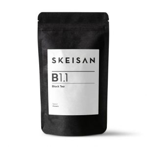 SKEISAN B1.1